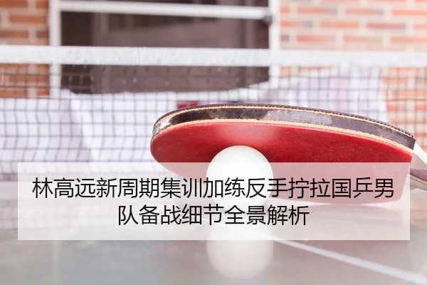 林高远新周期集训加练反手拧拉国乒男队备战细节全景解析